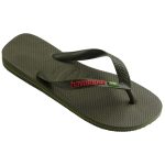 HAVAIANAS BRASIL LOGO 4110850-0869 ΧΑΚΙ