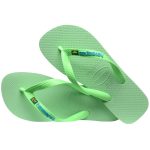 HAVAIANAS BRASIL LOGO 4110850-6617 ΛΑΧΑΝΙ