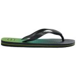 HAVAIANAS BRASIL FRESH 4145745-0074 ΓΡΑΦΙΤΗΣ